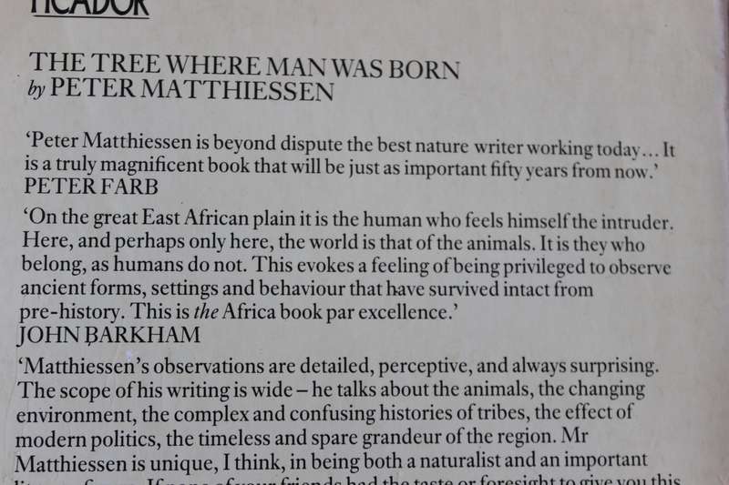 THE TREE WHERE MAN WAS BORN  by Peter Matthiessen