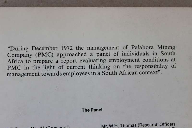 MANAGEMENT RESPONSIBILITY AND AFRICAN EMPLOYMENT IN SOUTH AFRICA (Report of a panel investigation)
