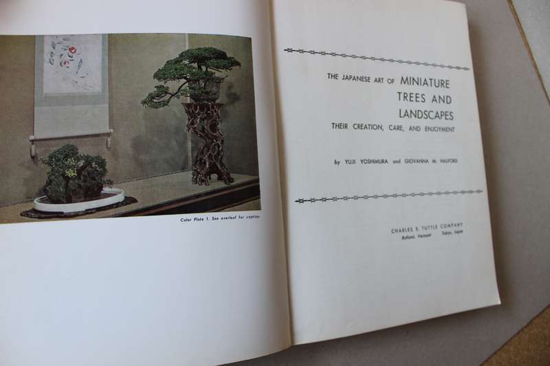 THE JAPANESE ART OF MINIATURE TREES AND LANDSCAPES by Yujl Yoshimura & Giovanna M Halford