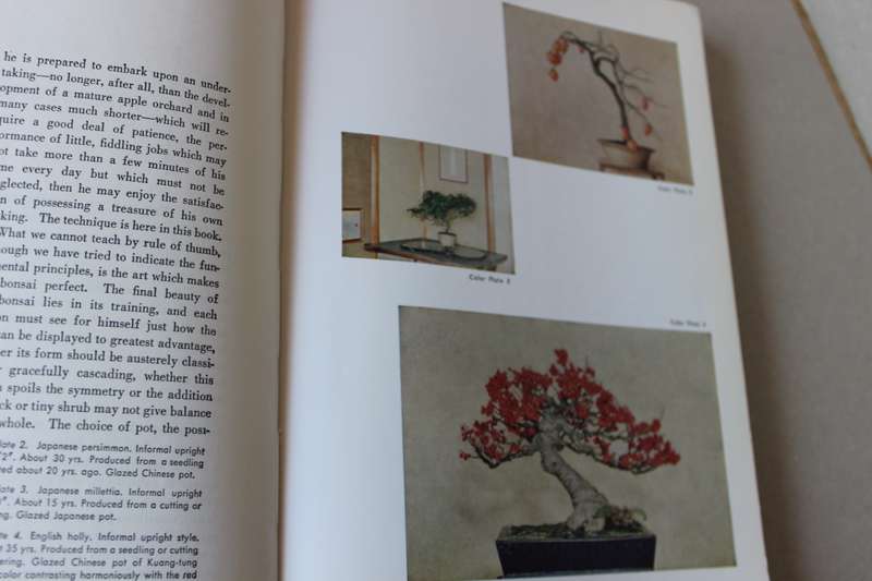 THE JAPANESE ART OF MINIATURE TREES AND LANDSCAPES by Yujl Yoshimura & Giovanna M Halford