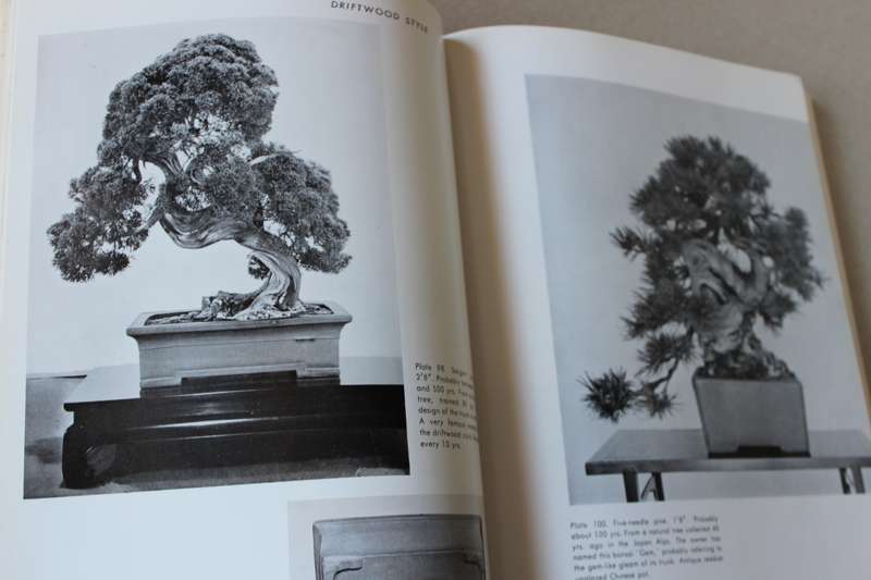 THE JAPANESE ART OF MINIATURE TREES AND LANDSCAPES by Yujl Yoshimura & Giovanna M Halford