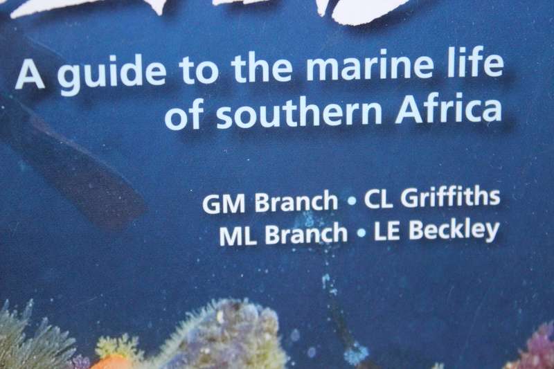 TWO OCEANS  by GM Branch, CL Griffiths, ML Branch and LE Beckley