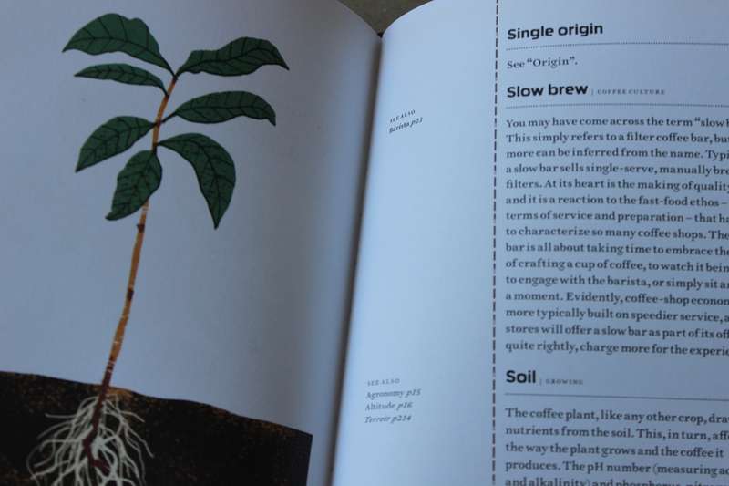 THE COFFEE DICTIONARY  by Maxwell Colonna-Dashwood