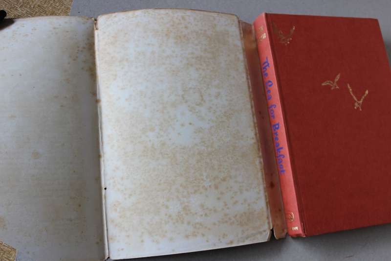 THREE LILLIAN BECKWITH SEMI-AUTOBIOGRAPHICAL STORIES