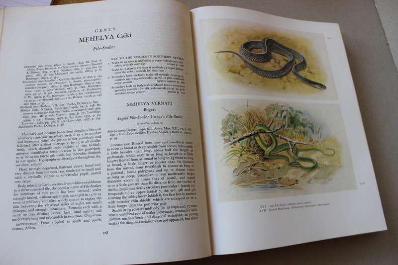 SNAKES OF SOUTHERN AFRICA  by Vivian F. M. Fitzsimons