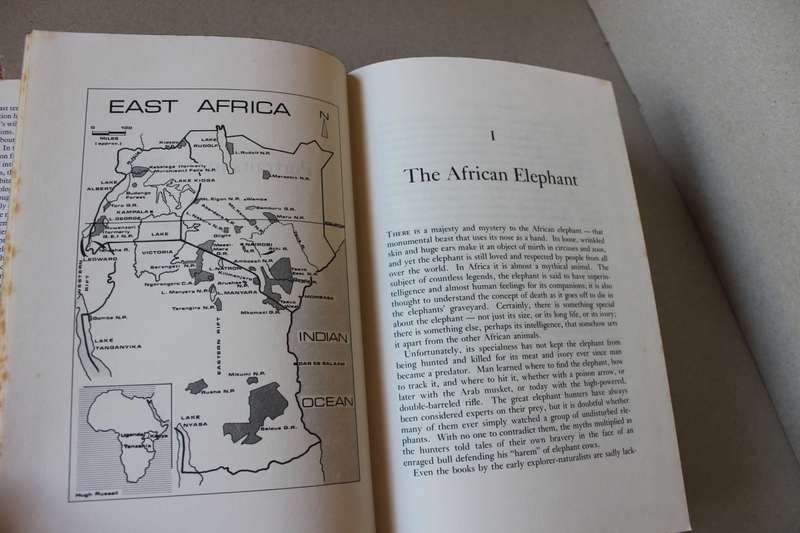 PORTRAITS IN THE WILD  Animal Behaviour in Eaast Africa  by Cynthia Moss