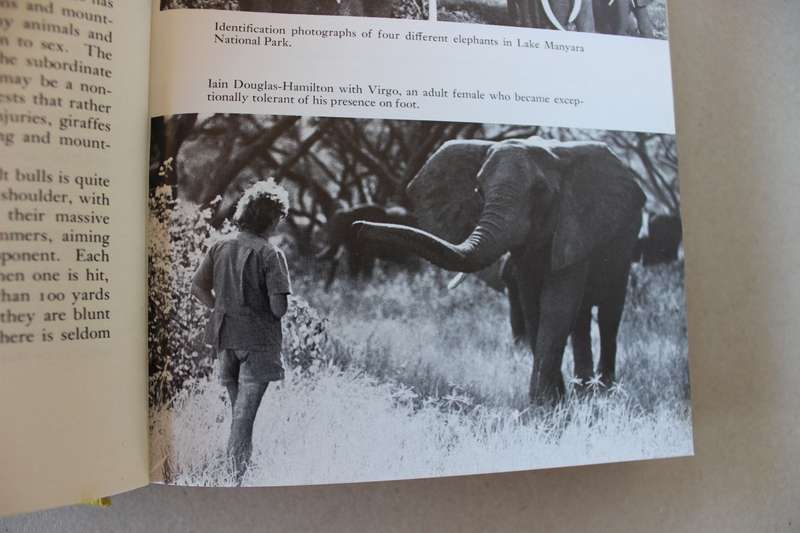 PORTRAITS IN THE WILD  Animal Behaviour in Eaast Africa  by Cynthia Moss