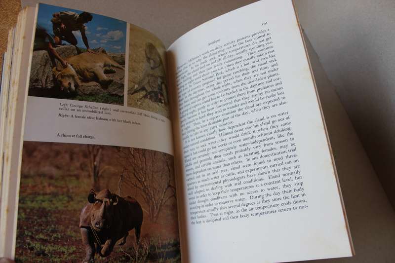 PORTRAITS IN THE WILD  Animal Behaviour in Eaast Africa  by Cynthia Moss
