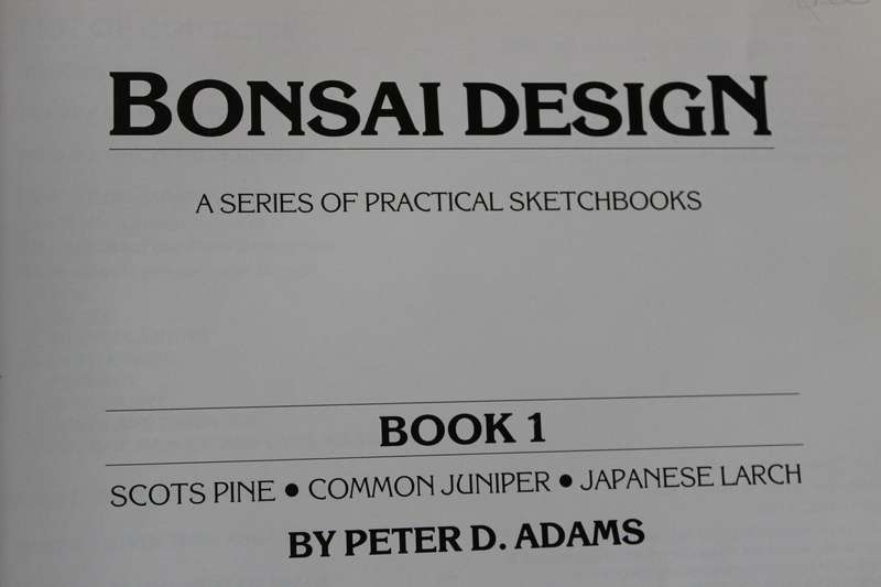 BONSAI DESIGN  by Peter Adams (Scots Pine, Common Juniper and Japanese Larch)