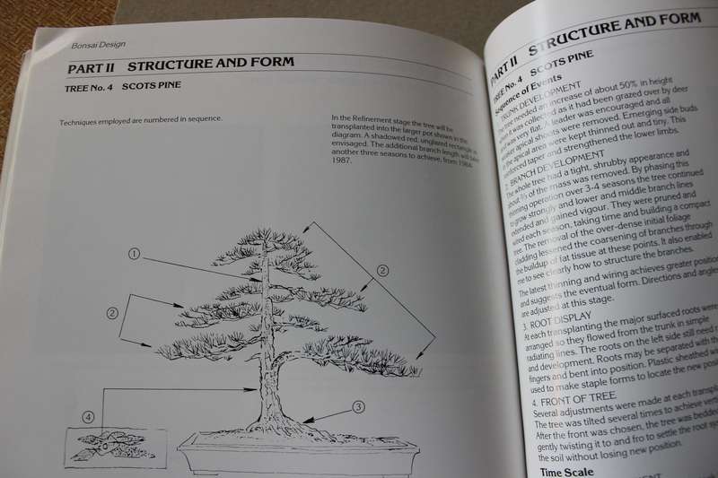 BONSAI DESIGN  by Peter Adams (Scots Pine, Common Juniper and Japanese Larch)