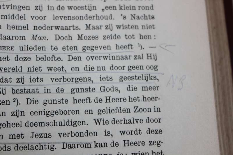 DE OPENBARING DES HEEREN AAN JOHANNES  Uitgelegd door Dr. S. Greydanus