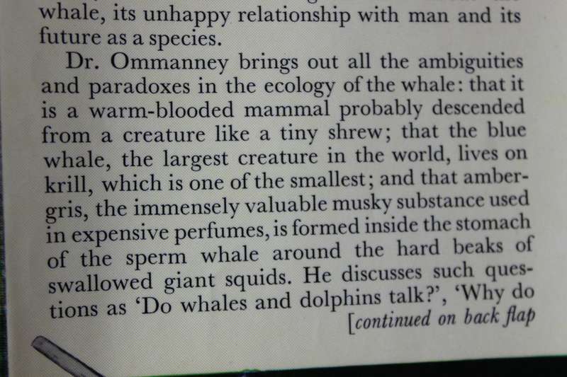 LOST LEVIATHAN  Whales and Whaling by S.D. Ommanney