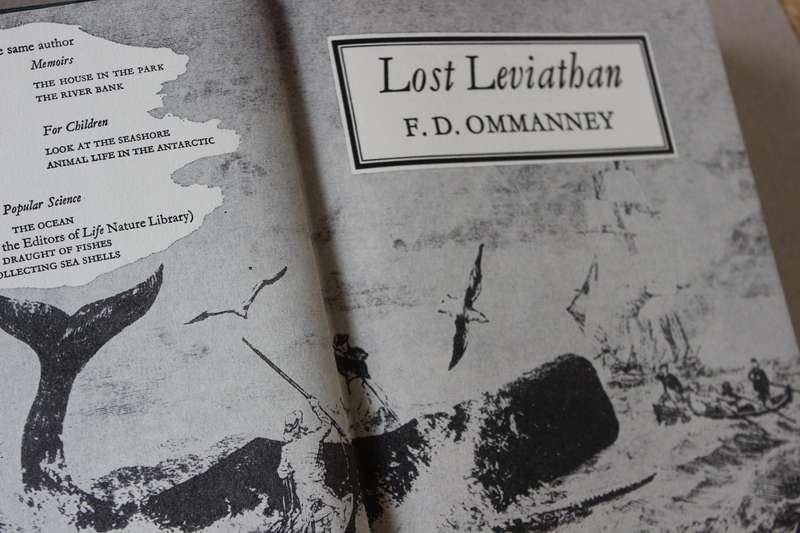 LOST LEVIATHAN  Whales and Whaling by S.D. Ommanney