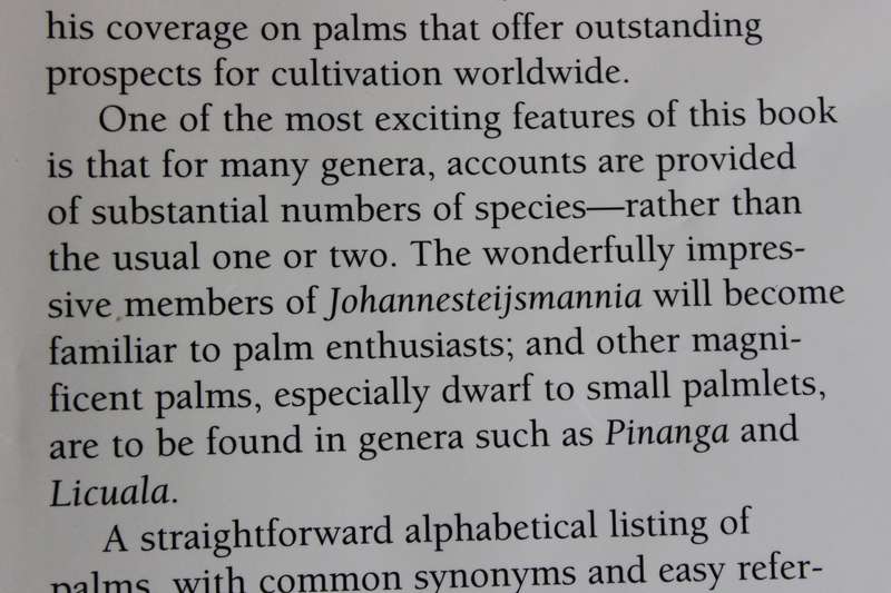 PALMS THROUGHOUT THE WORLD  by David L. Jones
