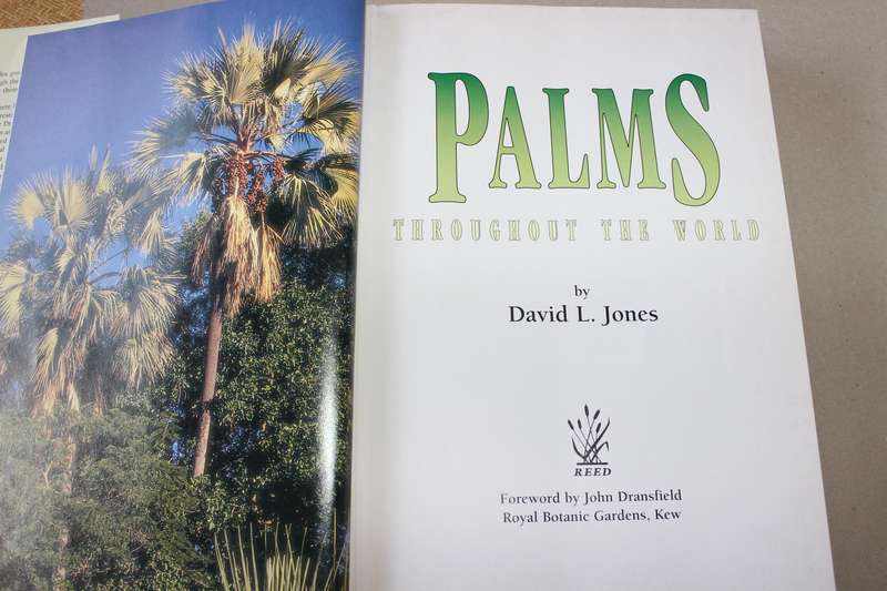 PALMS THROUGHOUT THE WORLD  by David L. Jones