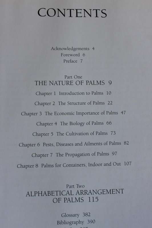 PALMS THROUGHOUT THE WORLD  by David L. Jones
