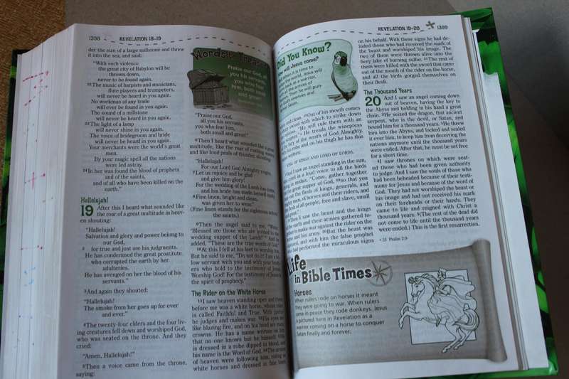NEW INTERNATIONAL VERSION  ADVENTURE BIBLE  by Zonderkidz