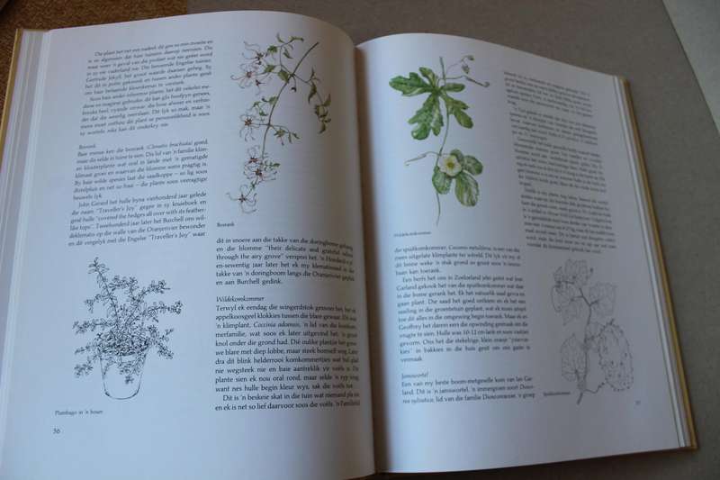 ONDER DIE OLIEN - N TUIN VIR PLESIER  deur Eve Palmer Illustrasies: Brenda Clarke