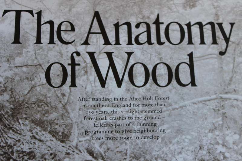 THE INTERNATIONAL BOOK OF WOOD  Editor Martyn Bramwell