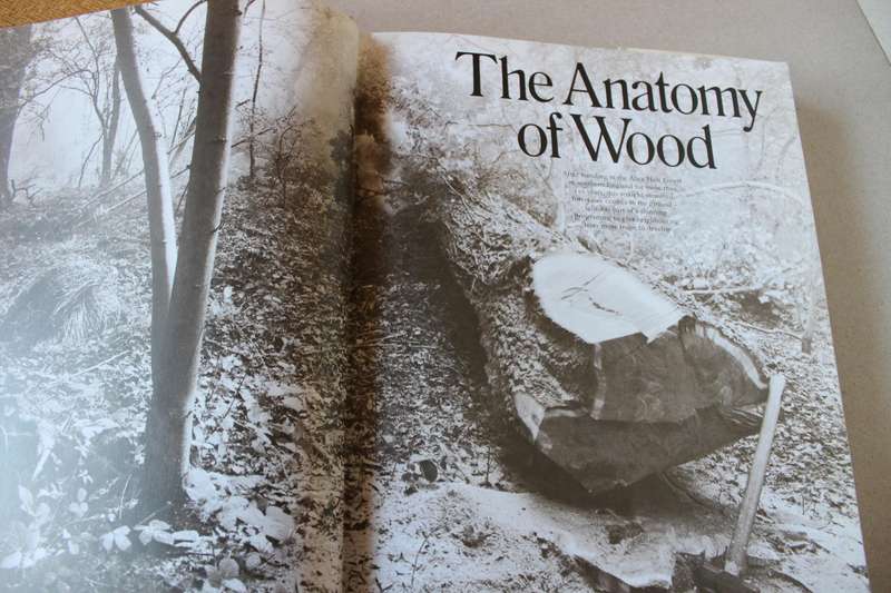 THE INTERNATIONAL BOOK OF WOOD  Editor Martyn Bramwell