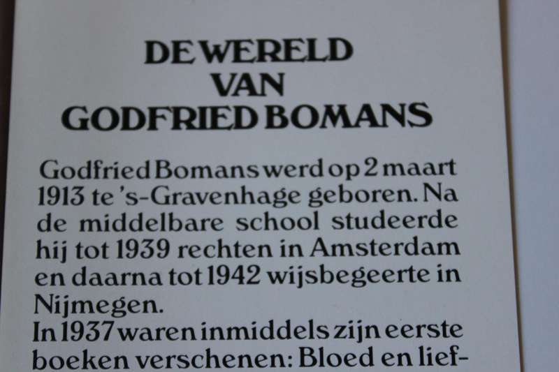 DE WERELD VAN GODFRIED BOMANS  Een keuze uit zijn beste werk