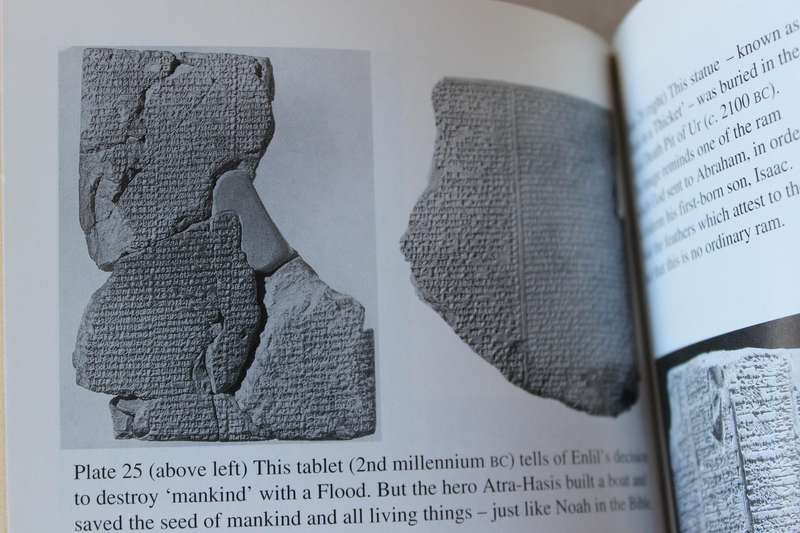 WHEN THE GODS CAME DOWN  by Alan F. Alford (Catastrophic Roots of Religion Revealed)