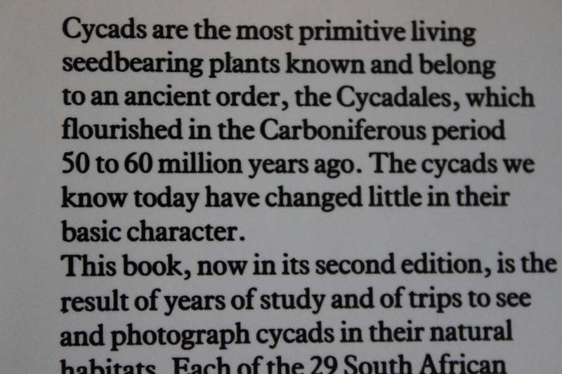 CYCADS OF SOUTH AFRICA  by Cynthia Giddy