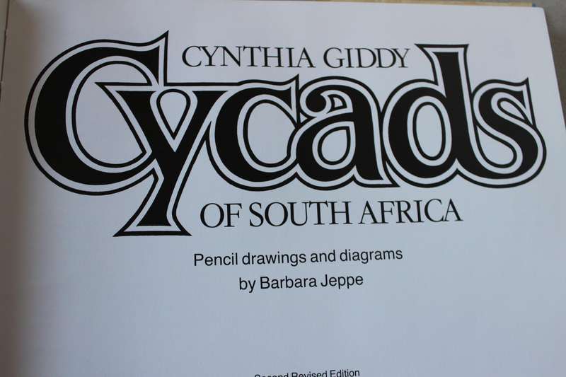 CYCADS OF SOUTH AFRICA  by Cynthia Giddy