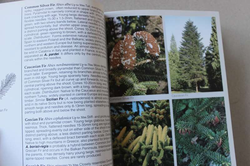 PHOTOGRAPHIC FIELD GUIDE: TREES OF BRITAIN AND EUROPE. by Bob Press and David Hosking