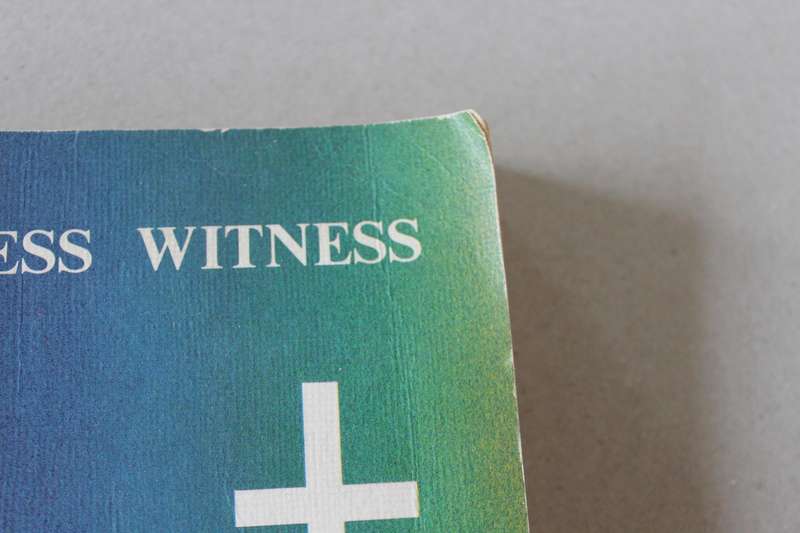 WORDLESS WITNESS  History of the Holy Cross Sisters of Southern Africa 1883-1980 by Sister McDonagh