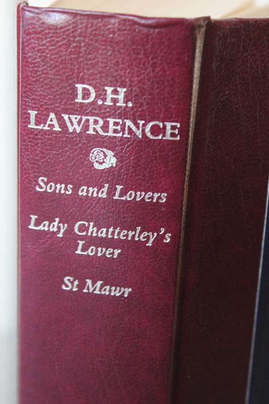 COLLECTION OF THE WORK OF D. H.  LAWRENCE  Three Stories
