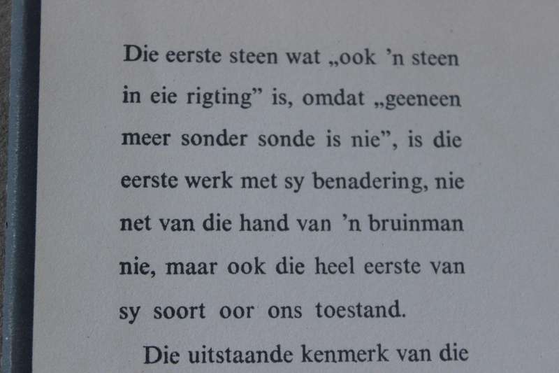 DIE EERSTE STEEN  deur Adam Small