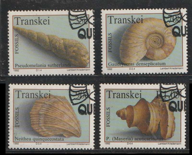 Transkei CTO Fossil Shellfish 1992 CV R100+