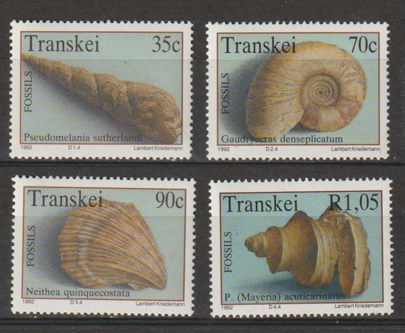 Transkei UMM Fossil Shellfish 1992 CV R100+