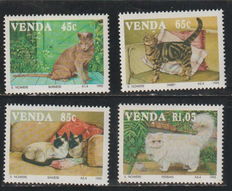 Venda UMM Domestic Cats 1993 CV R160+