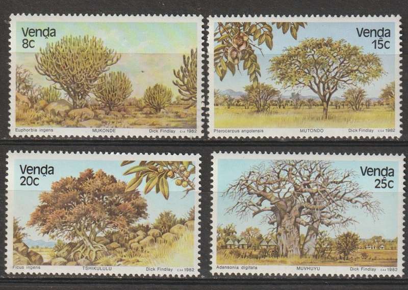 Venda UMM Trees 1982 CV R40+