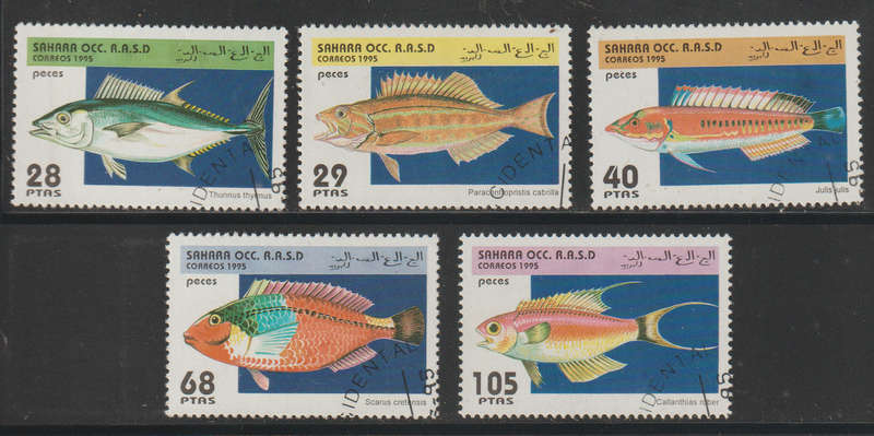 Sahara Fish 1995