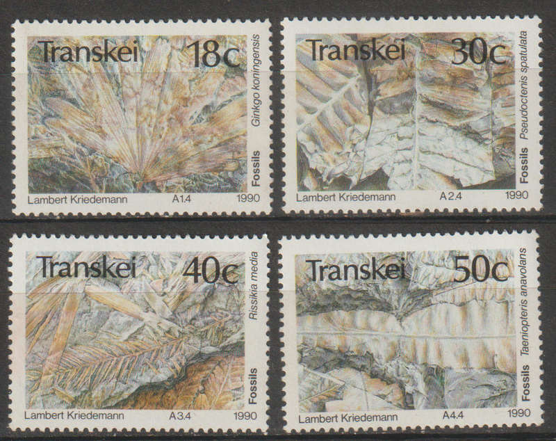Transkei UMM Set Fossil Plants 1990