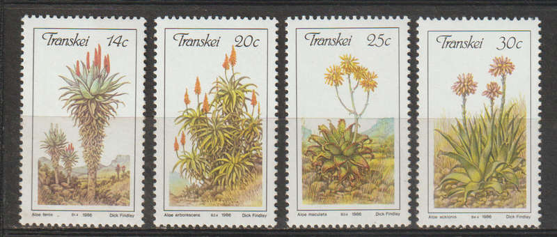 Transkei UMM Set Aloes 1986