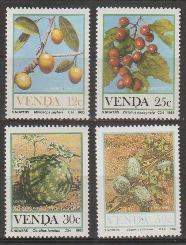 Venda UMM Set Fruits 1985