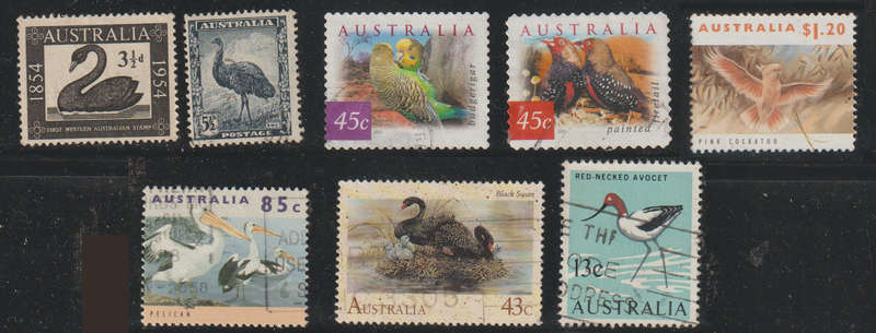 Australia Mix Birds