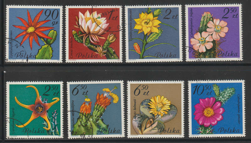 Poland Succulent Flowers 1981 (Fine Used)