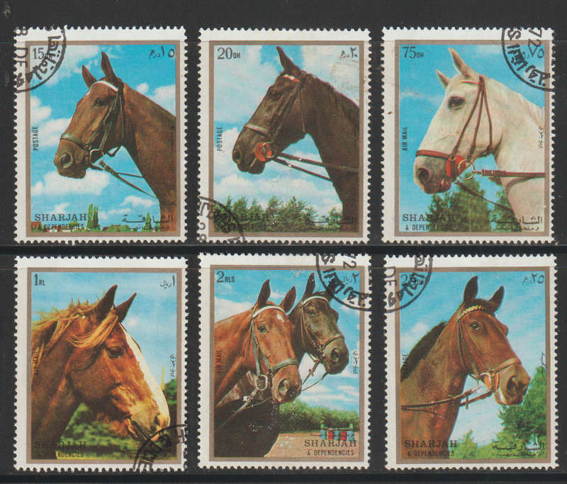 Sharjah Horses 1972