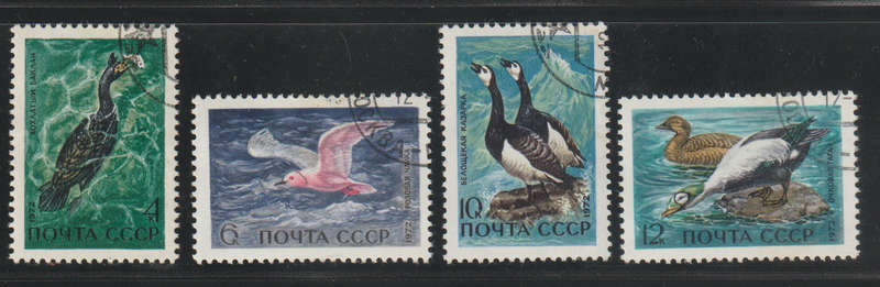 USSR Marine Birds 1972 Fine Used