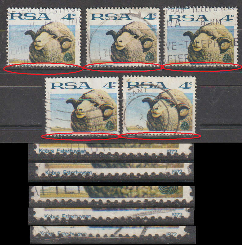 ERROR South Africa Sheep and Wool Industry 1972
