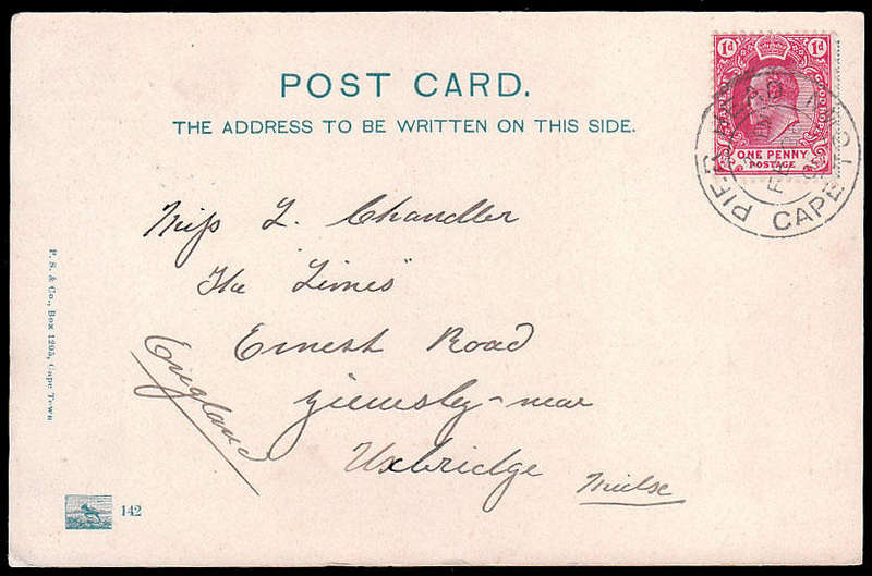 CGH 1908 (FEB 27) POSTCARD WITH VERY FINE 'PIER HEAD CAPE TOWN' CANCEL ON ADDERLEY STREET CARD