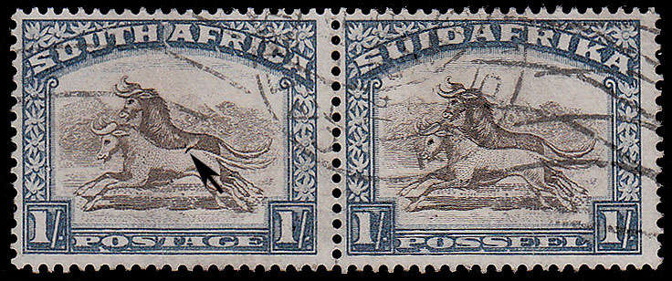UNION 1930-44 ROTOS 1s BROWN AND DEEP BLUE SHADE WITH DART IN GNU'S BACK VAR FINE USED. SG 49a £400