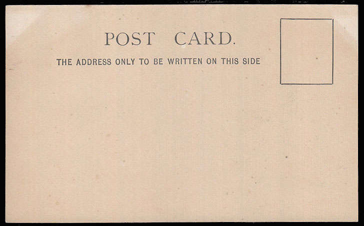 PRE 1900 UNION CASTLE LINE THE VERY RARE COURT SIZE POSTCARD WITH BLACKISH VIGNETTE UNUSED.
