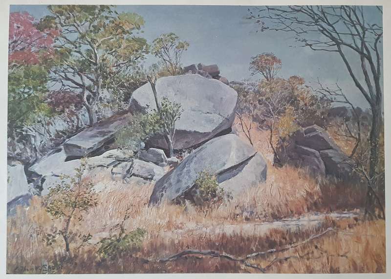 C. Thornley Stewart print as per photo