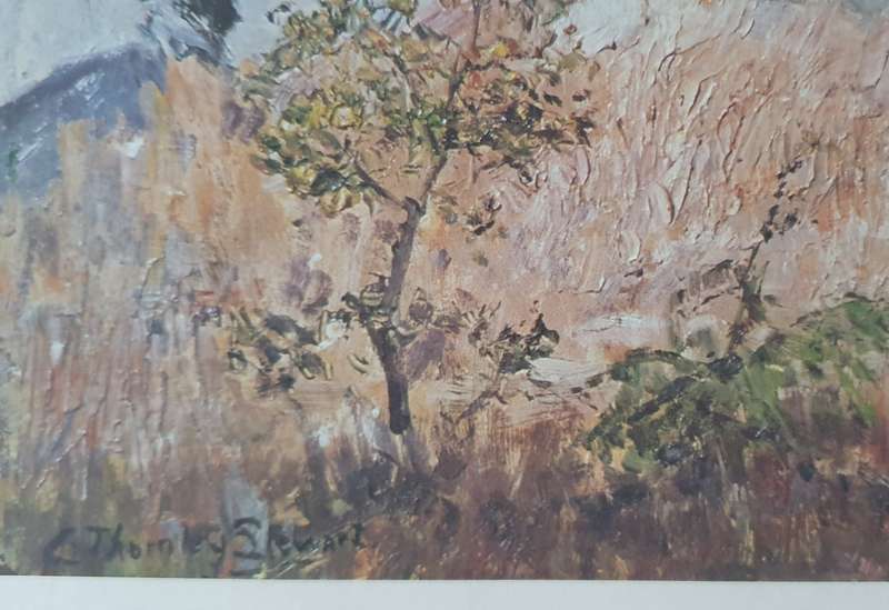 C. Thornley Stewart print as per photo
